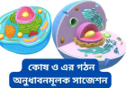 কোষ ও এর গঠন অনুধাবনমূলক প্রশ্ন সাজেশন ২০২৫-২০২৬
