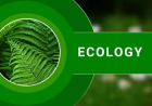 Ecology suggestion & Question Bank । অনার্স ৩য়বর্ষ প্রাণিবিজ্ঞান সাজেশন