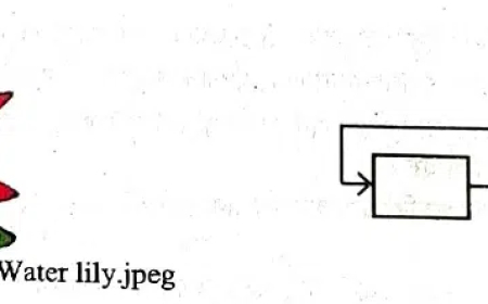 Web Design and HTML CQ suggestion