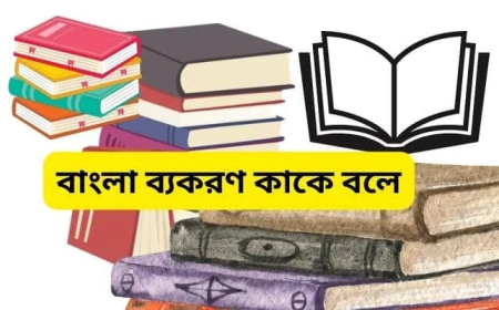বাংলা ব্যকরণ । Bangla Gramma