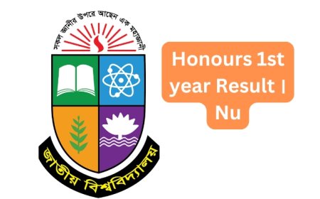 NU Honours 1st Year Result 2025 | মার্কশীট ও জিপিএসহ রেজাল্ট