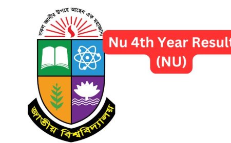 NU Honours 4th Year Result 2025 (মার্কশীট ও সিজিপিএসহ রেজাল্ট)