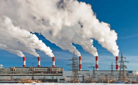 Paragraph on Air Pollution For HSC SSC JSC BANK BCS Masters