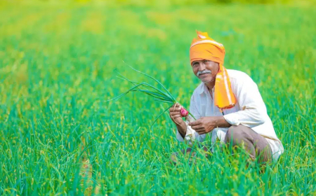 A Farmer or The Life of a Farmer paragraph for HSC SSC Masters