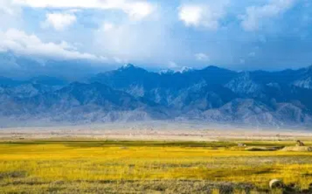 uses of Phrases and words Board Question exercise