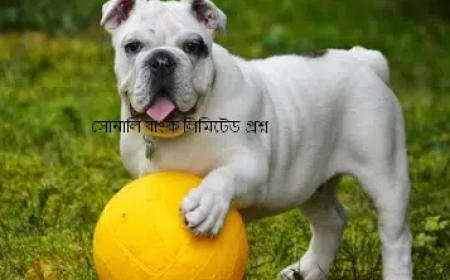 Sonali Bank Officer Question Solution 2018