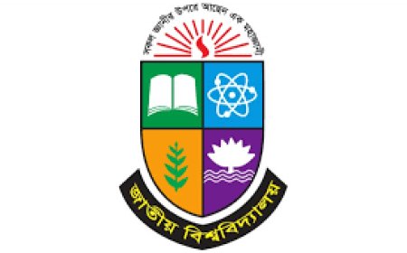 জাতীয় বিশ্ববিদ্যালয়ের প্রকাশিত ফলাফল দেখার উপায় কী?