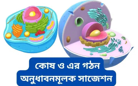 কোষ ও এর গঠন অনুধাবনমূলক প্রশ্ন সাজেশন ২০২৫-২০২৬