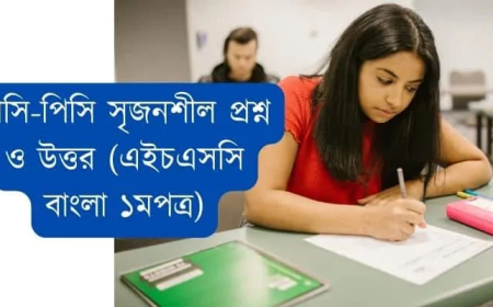 মাসি-পিসি সৃজনশীল প্রশ্ন ও উত্তর (এইচএসসি বাংলা ১মপত্র)