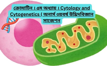 ক্রোমাটিন । ৫ম অধ্যায় । Cytology and Cytogenetics ( অনার্স ৩য়বর্ষ উদ্ভিদবিজ্ঞান সাজেশন