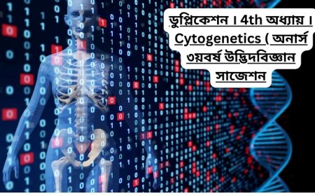 ডুপ্লিকেশন । ৪র্থ অধ্যায় । Cytogenetics ( অনার্স ৩য়বর্ষ উদ্ভিদবিজ্ঞান সাজেশন