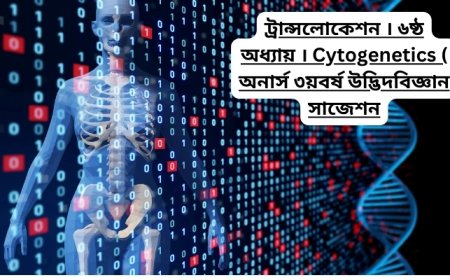 ট্রান্সলোকেশন । ৬ষ্ঠ অধ্যায় । Cytogenetics ( অনার্স ৩য়বর্ষ উদ্ভিদবিজ্ঞান সাজেশন