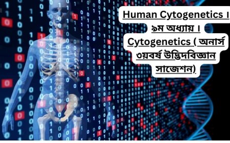 Human Cytogenetics ।৯ম অধ্যায় । Cytogenetics ( অনার্স ৩য়বর্ষ উদ্ভিদবিজ্ঞান সাজেশন)