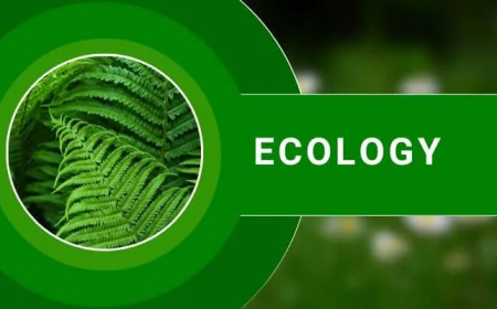 Ecology suggestion & Question Bank । অনার্স ৩য়বর্ষ প্রাণিবিজ্ঞান সাজেশন