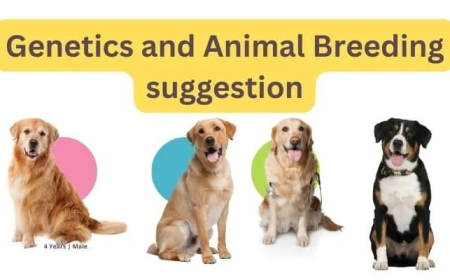 Genetics and Animal Breeding suggestion & Question Bank । অনার্স ৩য়বর্ষ প্রাণিবিজ্ঞান সাজেশন