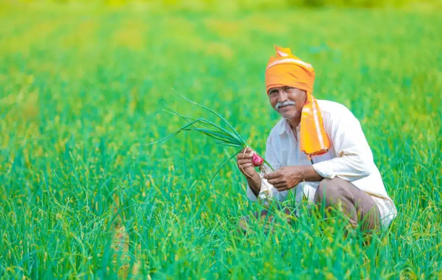 A Farmer or The Life of a Farmer paragraph for HSC SSC Masters