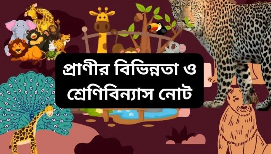 প্রাণীর বিভিন্নতা ও শ্রেণিবিন্যাস নোট ২০২৫-২০২৬