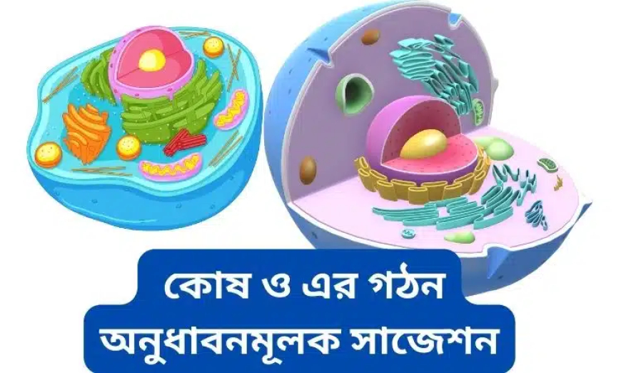 কোষ ও এর গঠন অনুধাবনমূলক প্রশ্ন সাজেশন ২০২৫-২০২৬