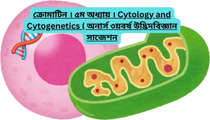 ক্রোমাটিন । ৫ম অধ্যায় । Cytology and Cytogenetics ( অনার্স ৩য়বর্ষ উদ্ভিদবিজ্ঞান সাজেশন