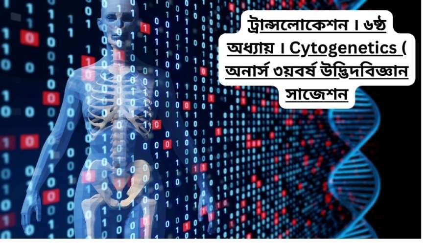 ট্রান্সলোকেশন । ৬ষ্ঠ অধ্যায় । Cytogenetics ( অনার্স ৩য়বর্ষ উদ্ভিদবিজ্ঞান সাজেশন