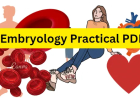 Embryology Practical PDF / Honours 2nd Year