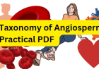 Taxonomy of Angiosperm Practical PDF / Honours 2nd Year