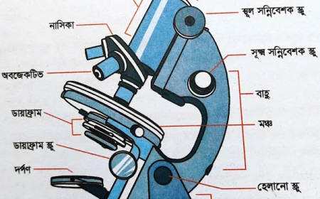 জীববিজ্ঞান ১মপত্র ব্যবহারিক│উদ্ভিদবিজ্ঞান ব্যবহারিক │Biology practical │HSC