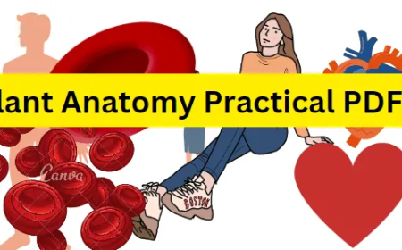 Plant Anatomy  Practical PDF / Honours 2nd Year