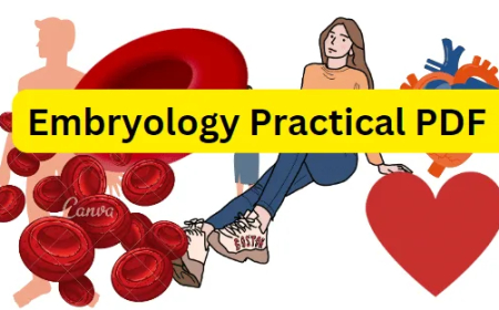 Embryology Practical PDF / Honours 2nd Year