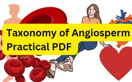 Taxonomy of Angiosperm Practical PDF / Honours 2nd Year