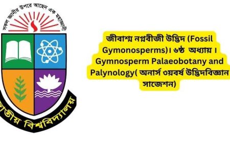 জীবাশ্ম নগ্নবীজী উদ্ভিদ (Fossil Gymonosperms)। ৬ষ্ঠ  অধ্যায় ।Gymnosperm Palaeobotany and Palynology( অনার্স ৩য়বর্ষ উদ্ভিদবিজ্ঞান সাজেশন)