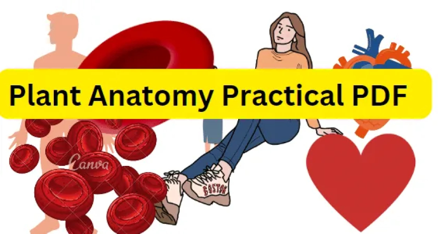 Plant Anatomy  Practical PDF / Honours 2nd Year