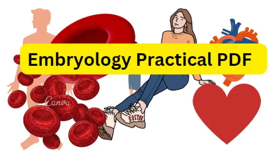 Embryology Practical PDF / Honours 2nd Year