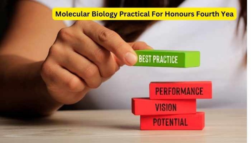 Molecular Biology Practical For Honours Fourth Year