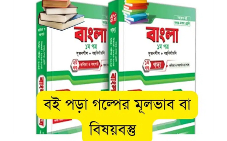 বই পড়া গল্পের মূলভাব বা বিষয়বস্তু