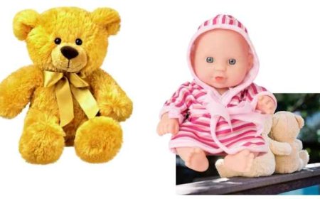 উল আর গাছের ডাল দিয়ে বাড়িতেই বানাতে পারেন মজার পুতুল