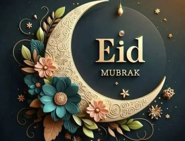 মন ভালো রাখার ১৫টি বৈজ্ঞানিক উপায়: মানসিক স্বাস্থ্যের সম্পূর্ণ গাইড