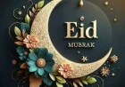 মন ভালো রাখার ১৫টি বৈজ্ঞানিক উপায়: মানসিক স্বাস্থ্যের সম্পূর্ণ গাইড