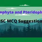 ব্রায়োফাইটা ও টেরিডোফাইটা MCQ ┃ Bryophyta and Pteridophyta MCQ