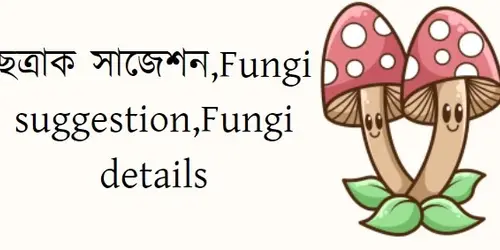 ছত্রাক সাজেশন ⼁ Fungi suggestion ⼁ Fungi details