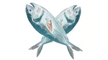২য় অধ্যায় প্রাণীর পরিচিতি (রুই মাছ) | রুই মাছ জ্ঞানমূলক ও অনুধাবনমূলক