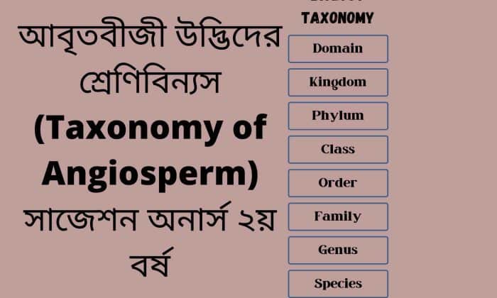 আবৃতবীজী উদ্ভিদের শ্রেণিবিন্যস (Taxonomy of Angiosperm) সাজেশন অনার্স ২য় বর্ষ