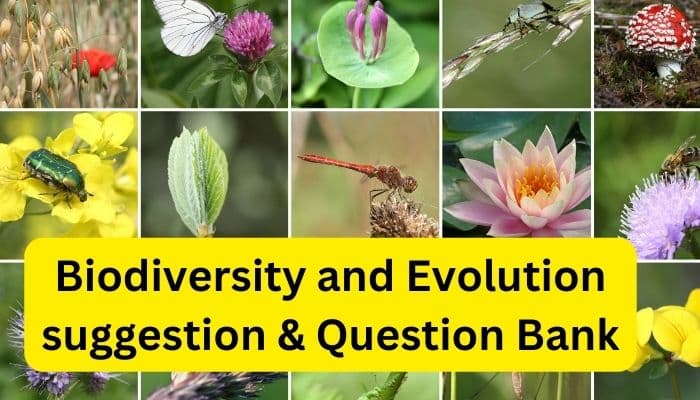 Biodiversity and Evolution suggestion & Question Bank