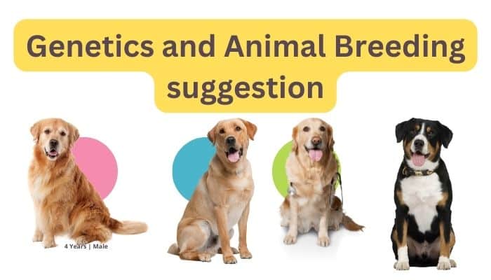 Genetics and Animal Breeding suggestion