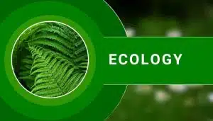 Ecology suggestion & Question Bank । বাস্তুবিদ্যা সাজেশন ও প্রশ্নব্যাংক । অনার্স ৩য়বর্ষ প্রাণিবিজ্ঞান সাজেশন
