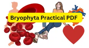 Bryophyta Practical PDF / Honours 2nd Year