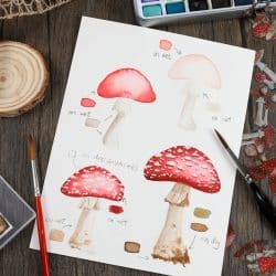 Master the art: Simple steps for drawing a mushroom easy