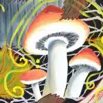 Get Lost in the Psychedelic World of Trippy Mushroom Drawings