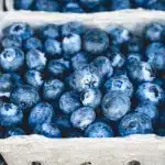 Discover the Incredible Benefits of Blueberries Nutrition