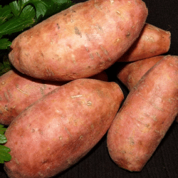 Discover the Nutritional Power of Sweet Potatoes